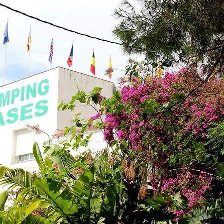 Cases אתר קמפינג