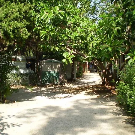 Cases Кемпинг *