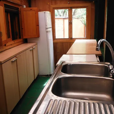 Cases אתר קמפינג