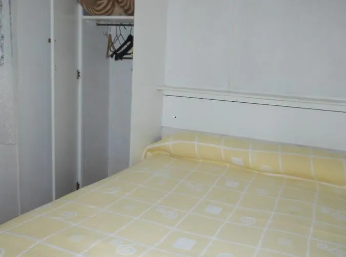 Kamp alanı Cases