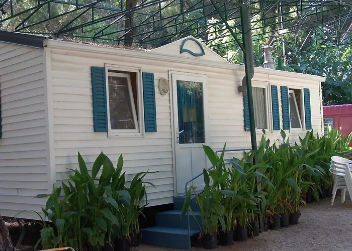 Campingplatz Cases Les Cases d'Alcanar